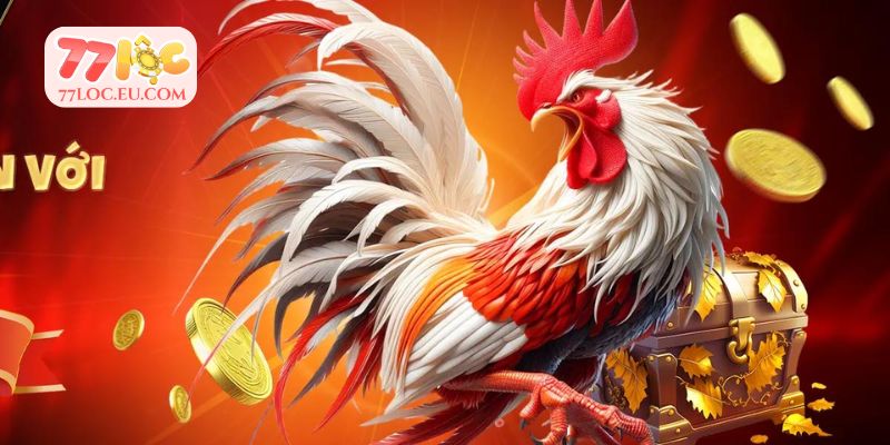 Giới thiệu cơ bản về trò chơi đá gà 77LOC