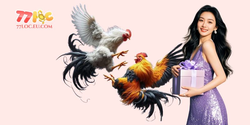 Mẹo chọn gà đá hay dựa vào chân